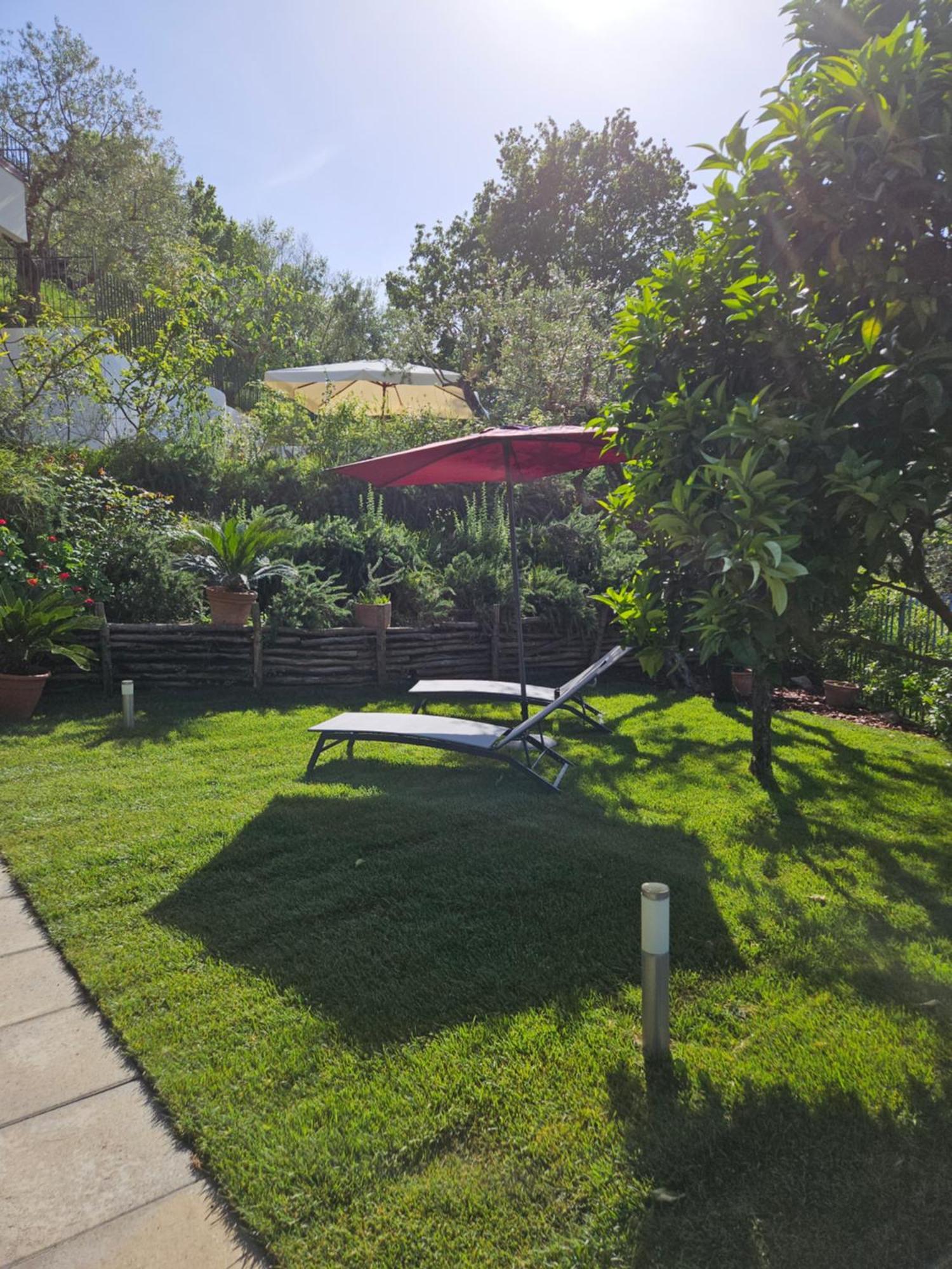 Casa Cali Bed & Breakfast Piano di Sorrento Exterior photo